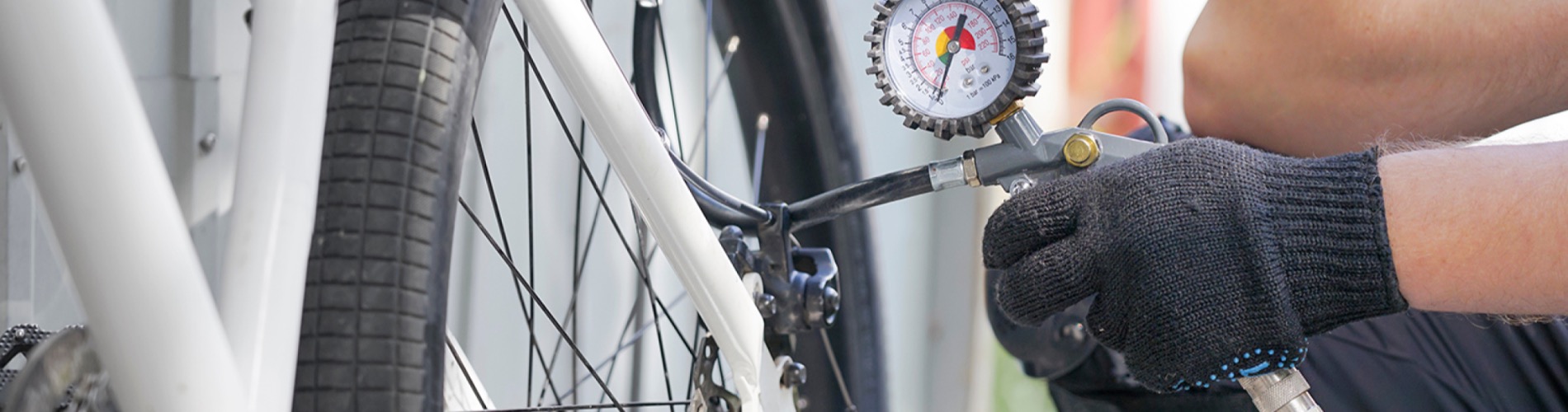 Cyclepointbest
