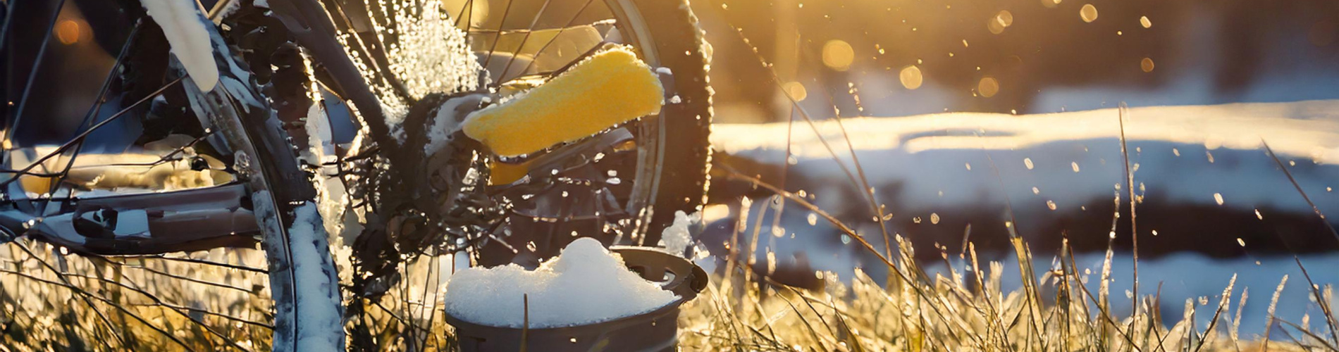 Cyclepointbest