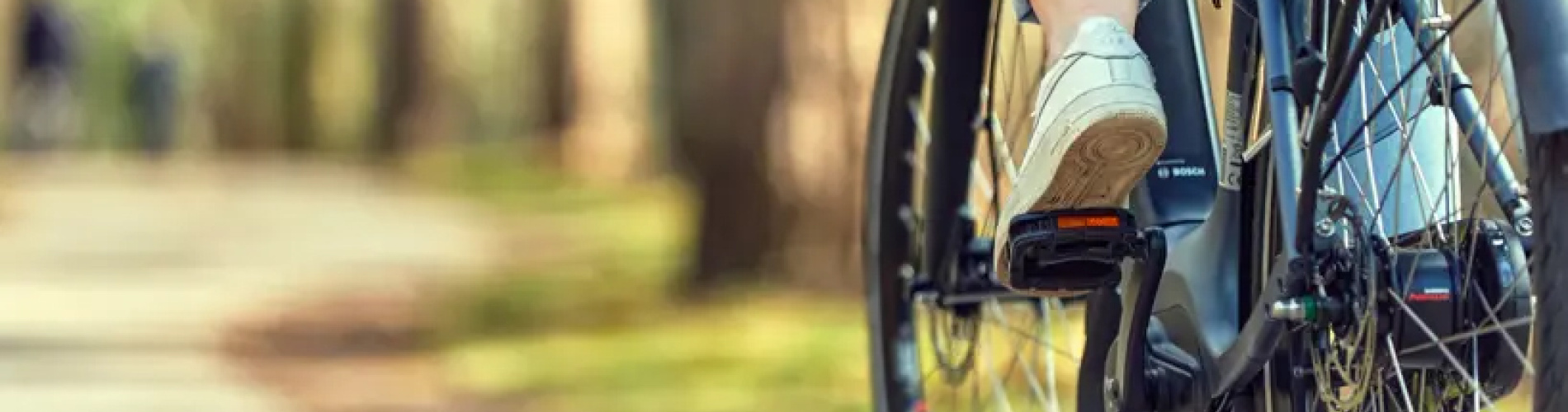 Cyclepointbest