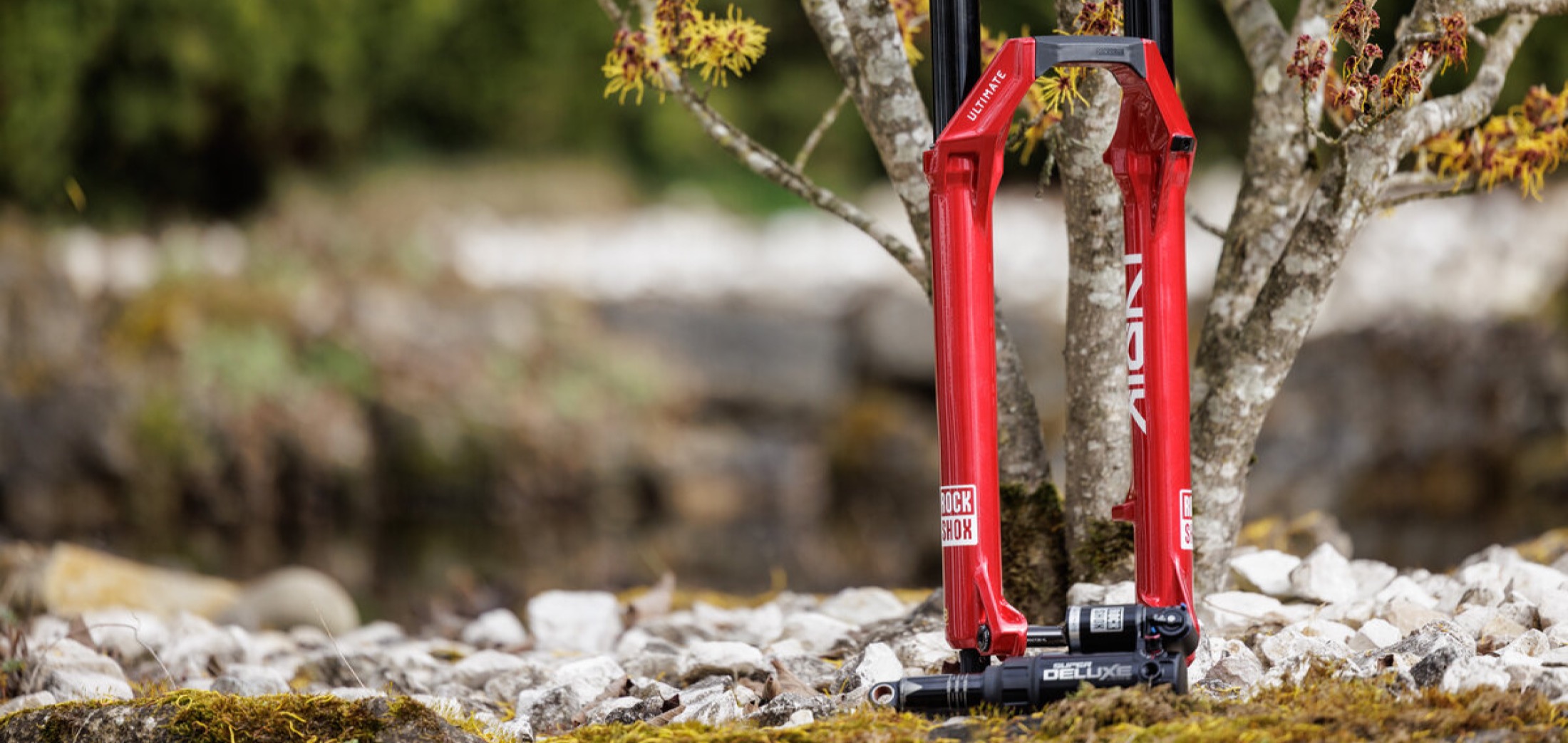 Cyclepointbest