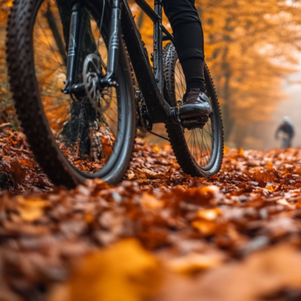 Blijf warm, droog en in beweging – ook in de herfst