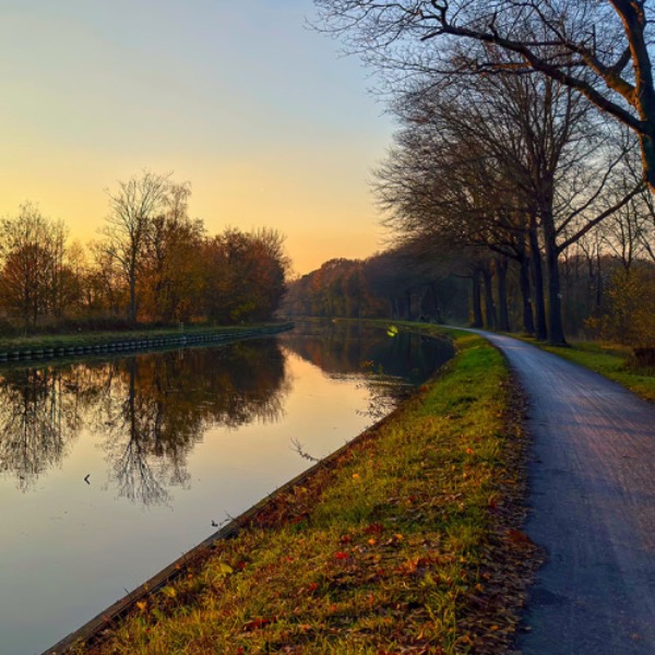 Fietsen als medicijn? Deze onderzoeker noemt het &lsquo;fietsveerkracht&rsquo;
