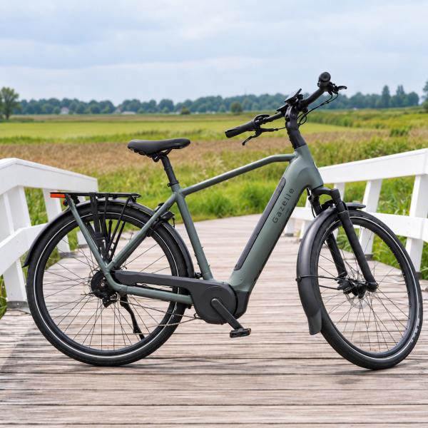 Gazelle Grenoble C5+ first edition